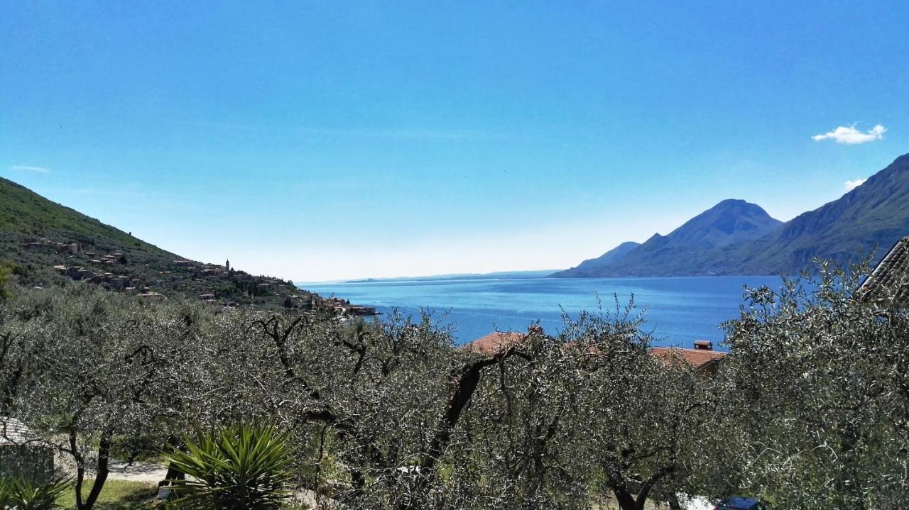 Appartamenti Casa Nina, Lago,Montagne, Uliveti Бренцоне-суль-Гарда Экстерьер фото